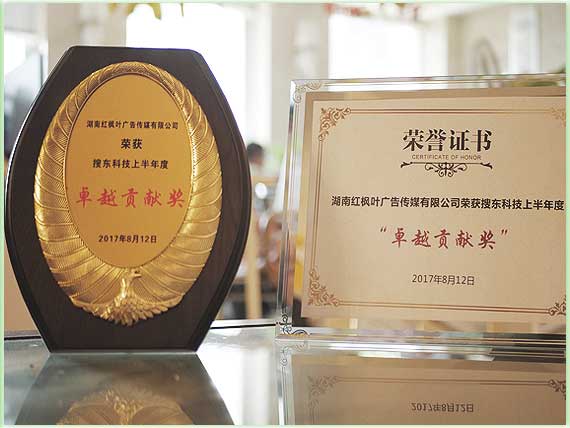 卓越貢獻(xiàn)獎(jiǎng) (2).jpg
