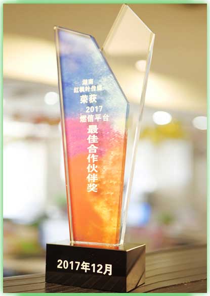 最佳合作伙伴獎(jiǎng) (4).JPG