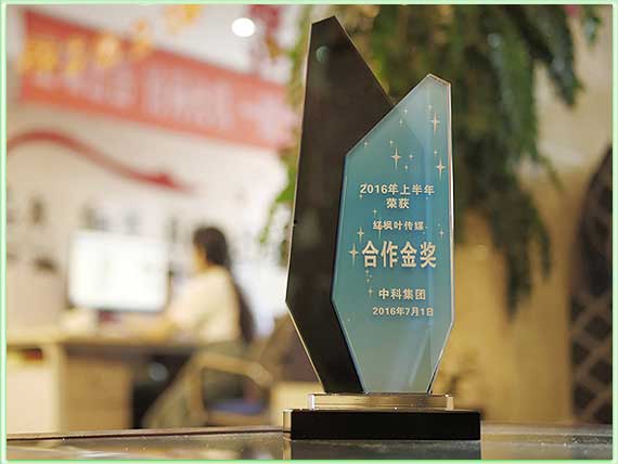 合作金獎(jiǎng) (3).jpg